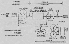 綠色未來，節(jié)能先行——上海寬若實業(yè)發(fā)展的創(chuàng)新實踐